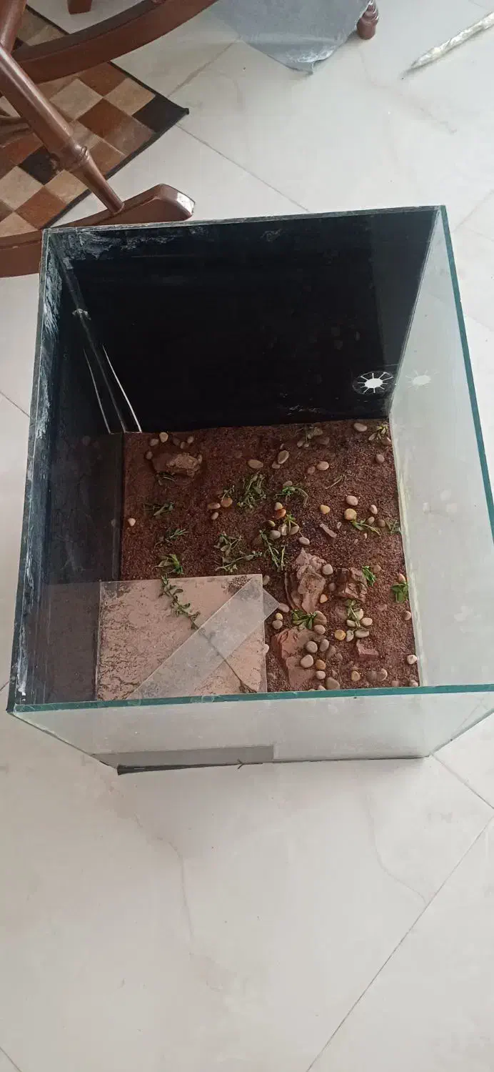 دو عدد اکواریوم کاملا سالم|ماهی|ری, ظهیرآباد|دیوار