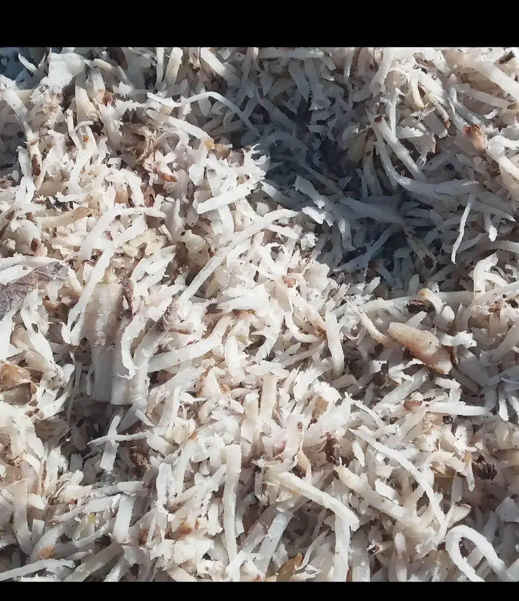 تفاله چغندر تفاله سیب علوفه ذرت|لوازم جانبی حیوانات|سراب, |دیوار