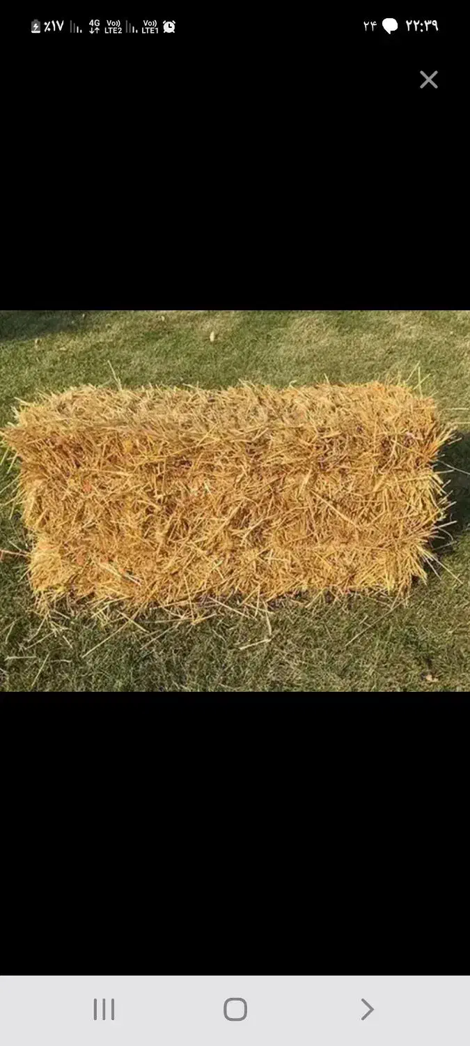 کاه عدل|لوازم جانبی حیوانات|رامیان, |دیوار