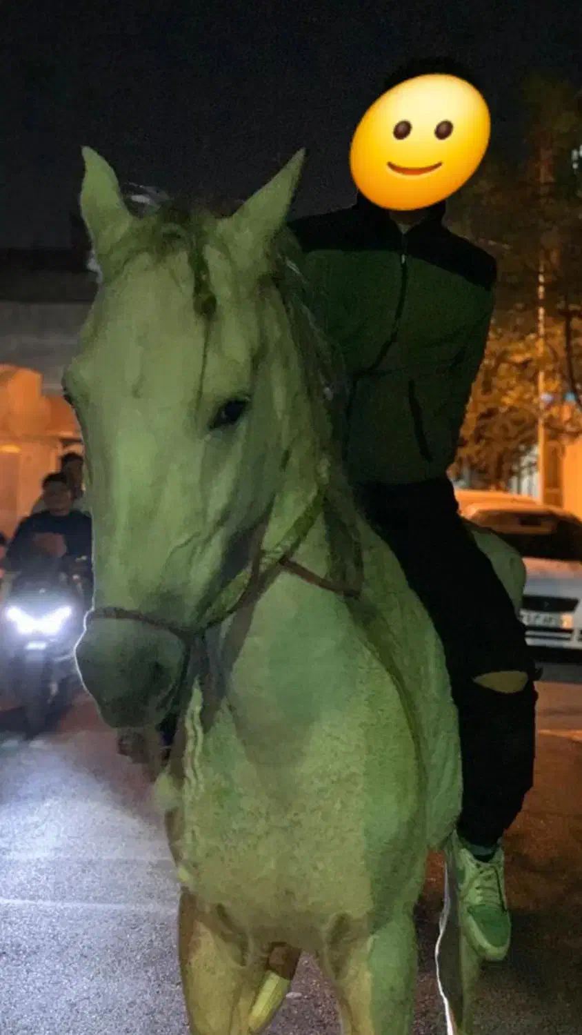 اسب نر|اسب و تجهیزات اسب‌سواری|قرچک, مهدیه|دیوار