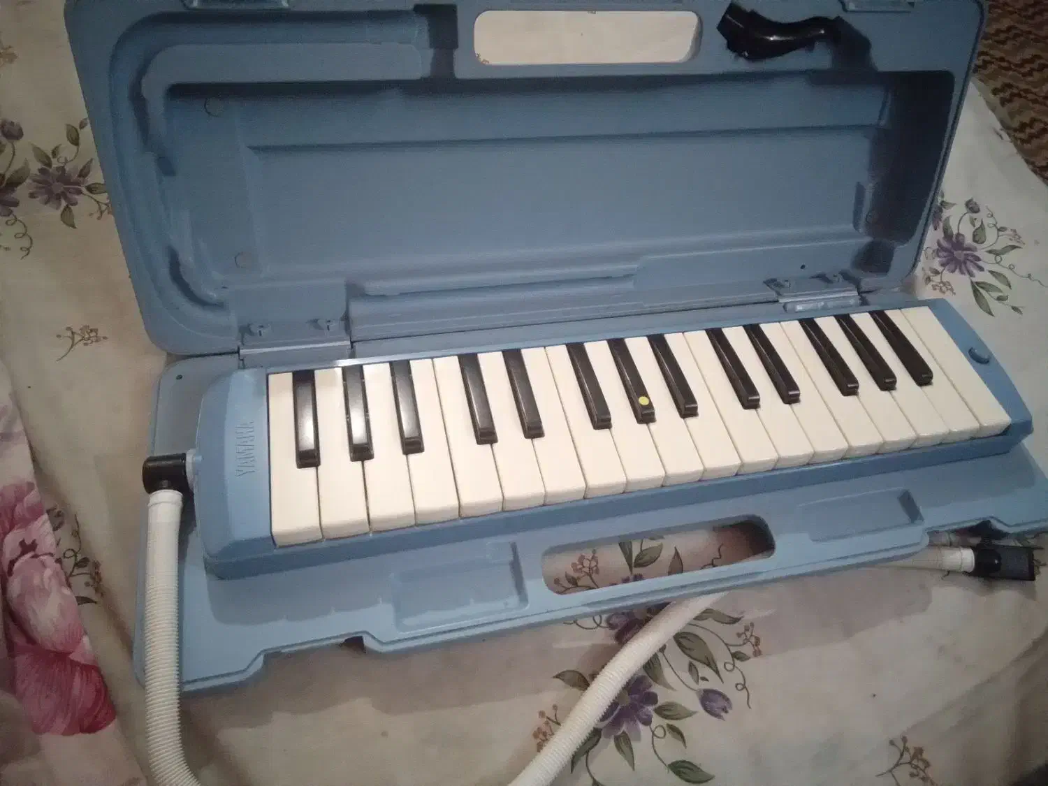 ملودیکای یاماهای ژاپنی|پیانو، کیبورد، آکاردئون|شاهرود, |دیوار