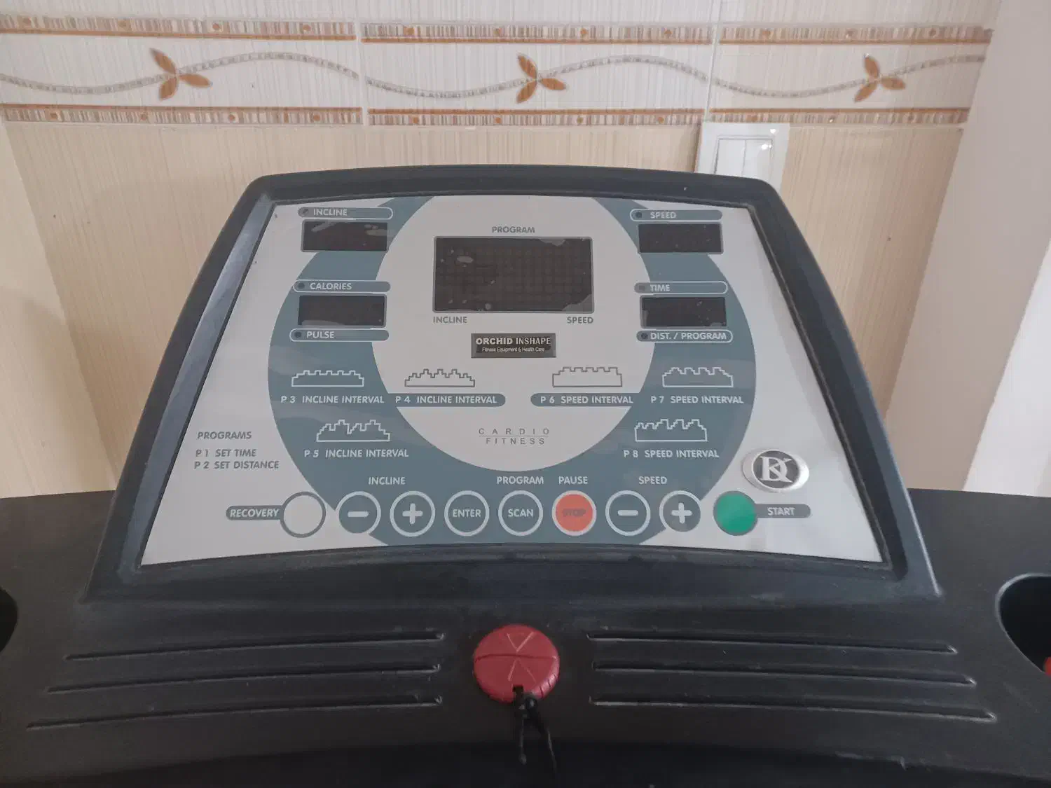 تردمیل|تجهیزات ورزشی|جم, |دیوار