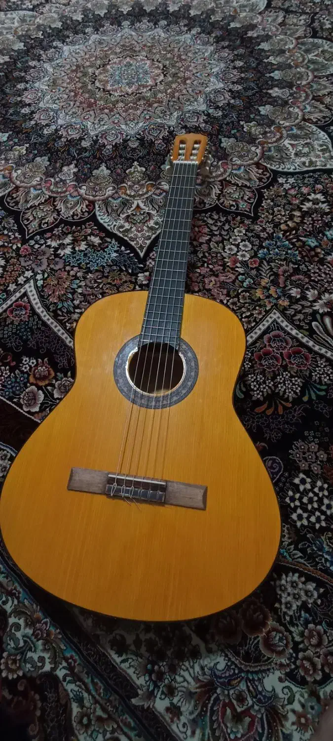 گیتار کلاسیک با رنگ جذاب|گیتار، بیس، امپلیفایر|پاکدشت, پاکدشت (مامازند)|دیوار