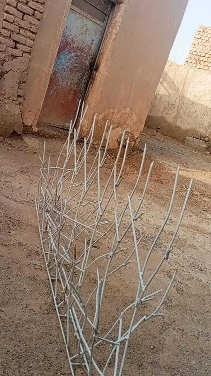 حفاظ و شاخ گوزنی|خدمات پیشه و مهارت|زابل, |دیوار