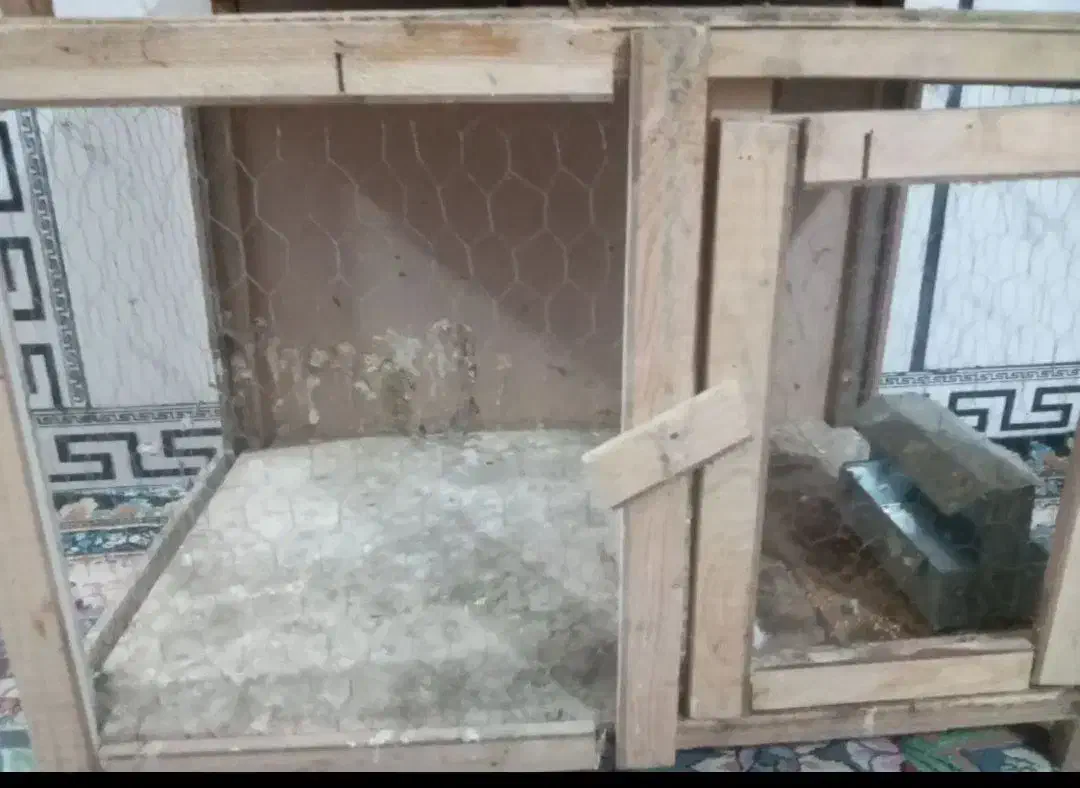 جفت کن کبوتر|لوازم جانبی حیوانات|پاکدشت, شهرک امام رضا|دیوار