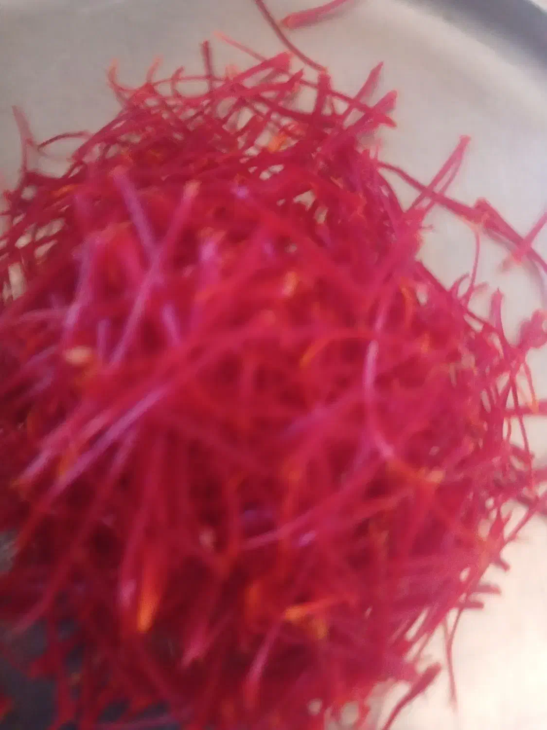 سرگل زعفران فروشی|خوردنی و آشامیدنی|تربت جام, شاد|دیوار