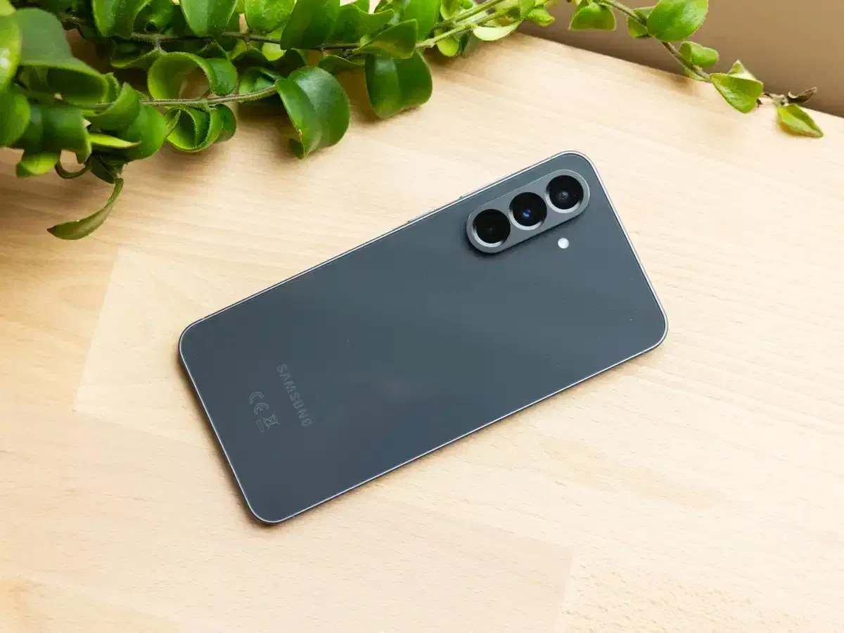 گوشی سامسونگ  A56|موبایل|تربت‌حیدریه, بی بی حسنیه|دیوار