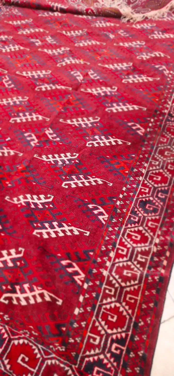 فرش دستباف ترکمن|فرش|مشهد, صیاد شیرازی|دیوار