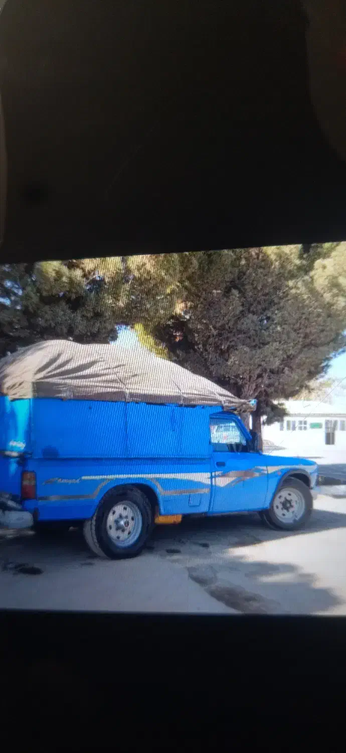 چقندر|عمدهفروشی|باخزر, |دیوار