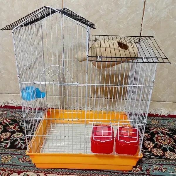 قفس پرنده|لوازم جانبی حیوانات|سیب و سوران, |دیوار