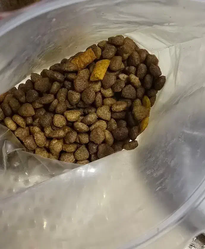 غذای خشک سگ نژاد کوچک بالغ|لوازم جانبی حیوانات|رشت, کوی حسینی|دیوار