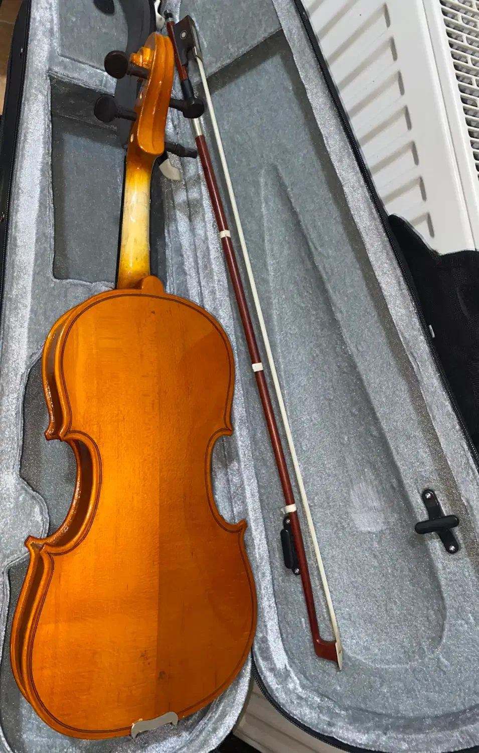 ویالون|ویولن|سیرجان, |دیوار