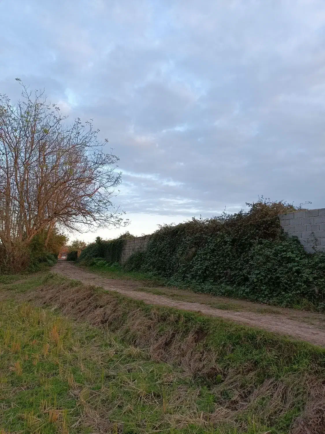 سرمایه‌گذاری ویژه برای تهرانی‌ها واصفهانی‌ها|فروش زمین و ملک کلنگی|رودبنه, |دیوار