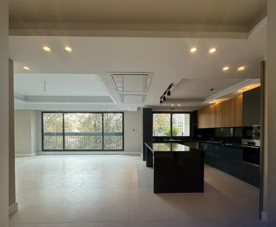 قیطریه 165 متر تراس قابل چیدمان / ورودی از لابی|فروش آپارتمان|تهران, قیطریه|دیوار