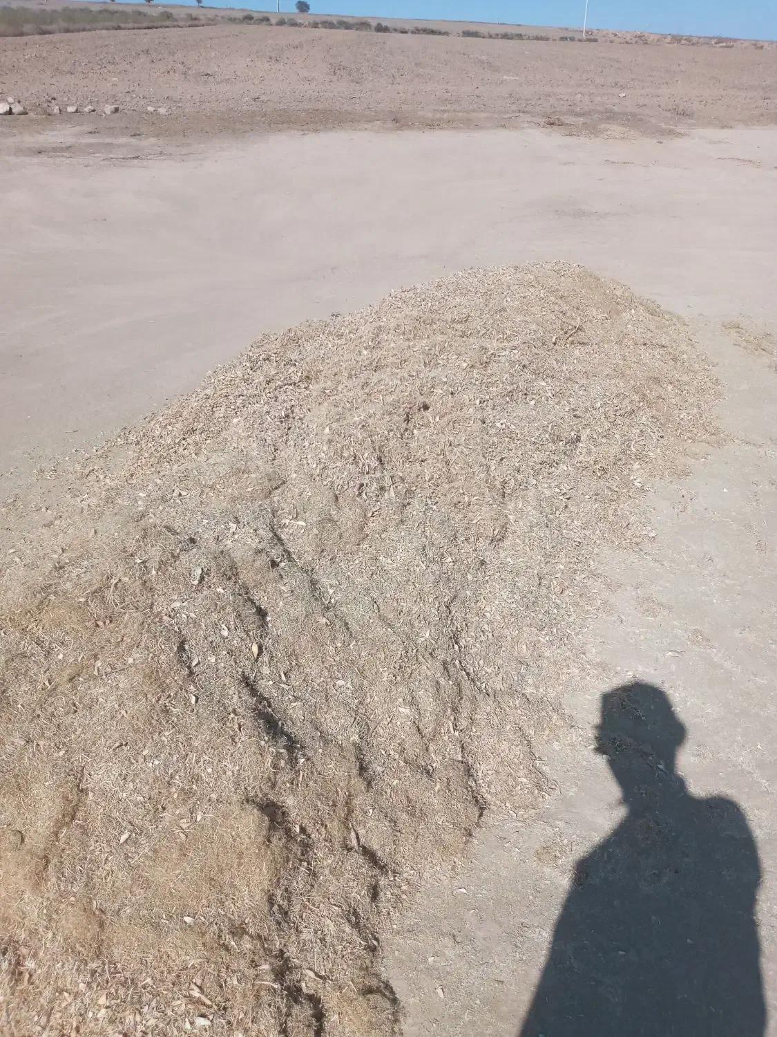 کاه لوبیاچیتی و سفیدفروشی|لوازم جانبی حیوانات|کلاله, |دیوار