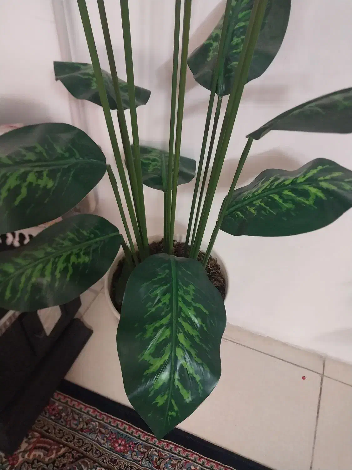 گلدان مصنوعی بزرگ خارجی|گل مصنوعی|خرمآباد, |دیوار