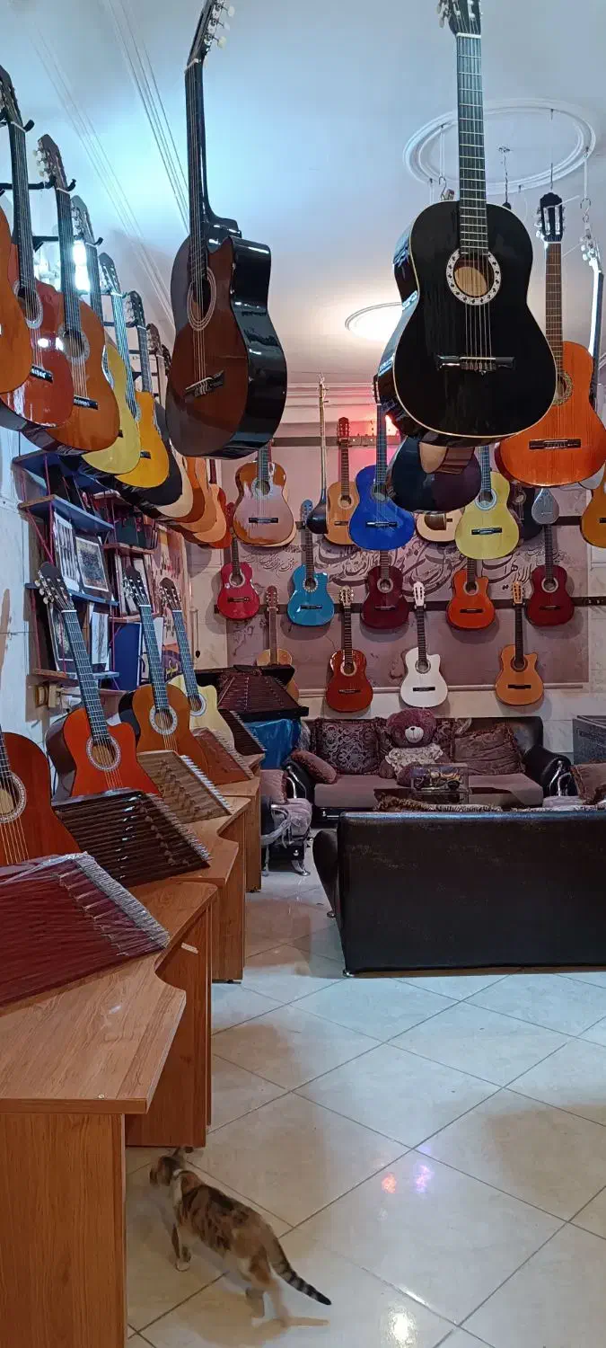 گیتار نوین کلاسیک|گیتار، بیس، امپلیفایر|ورامین, ورامین|دیوار