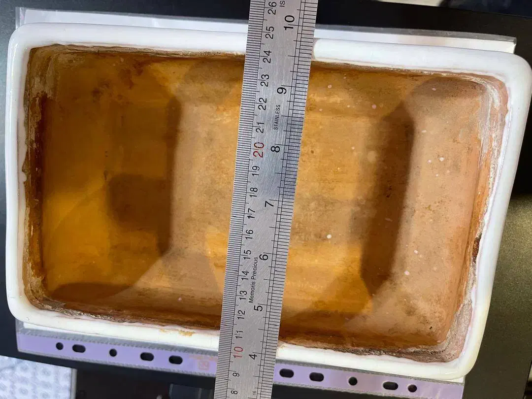 ۷ عدد گل زیبا و ۴ عدد گلدان بنسای|گل و گیاه طبیعی|تبریز, |دیوار