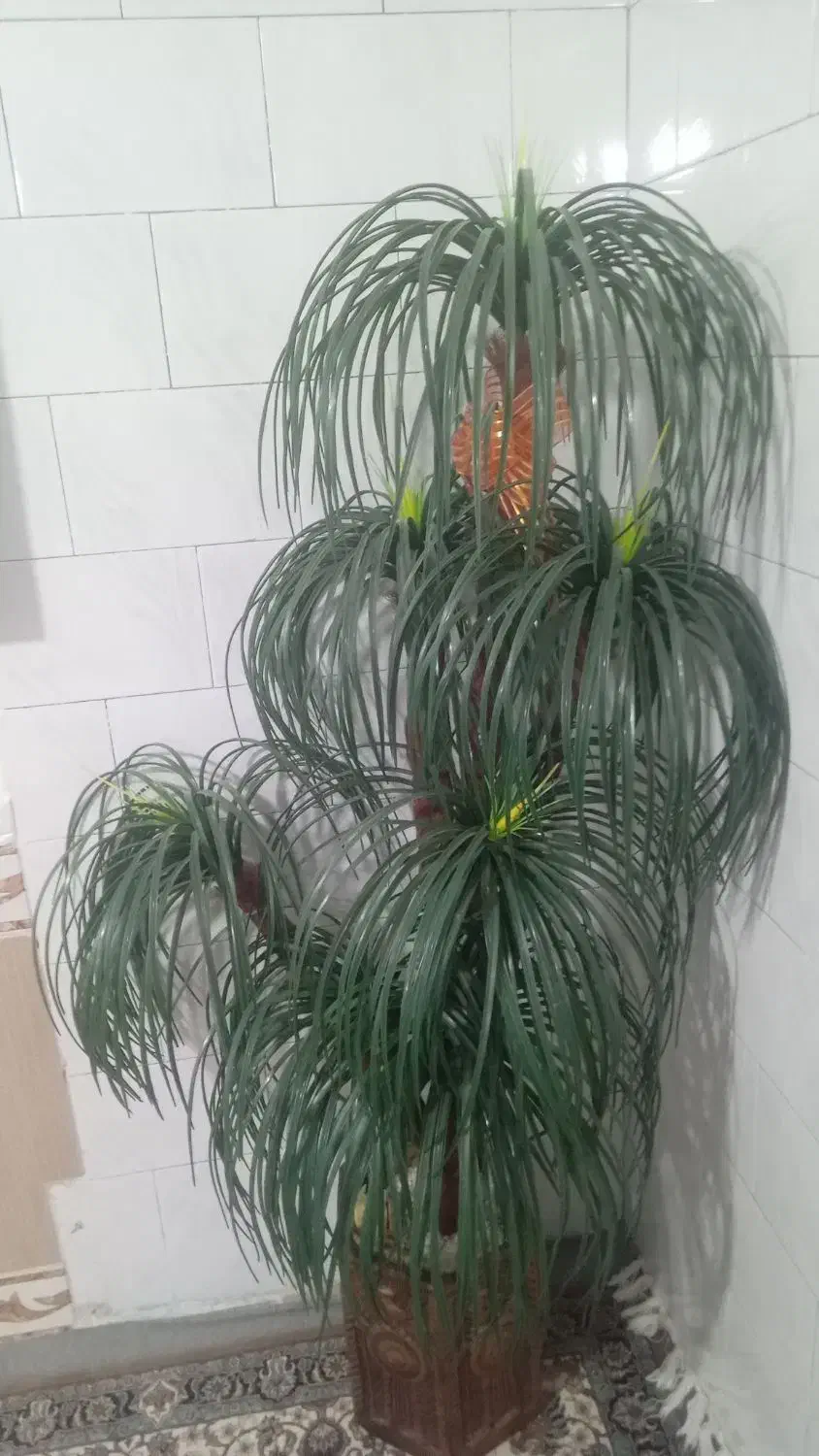 گل نخل بسیار زیبا ،تازه برام کادو آوردن|گل مصنوعی|یاسوج, |دیوار