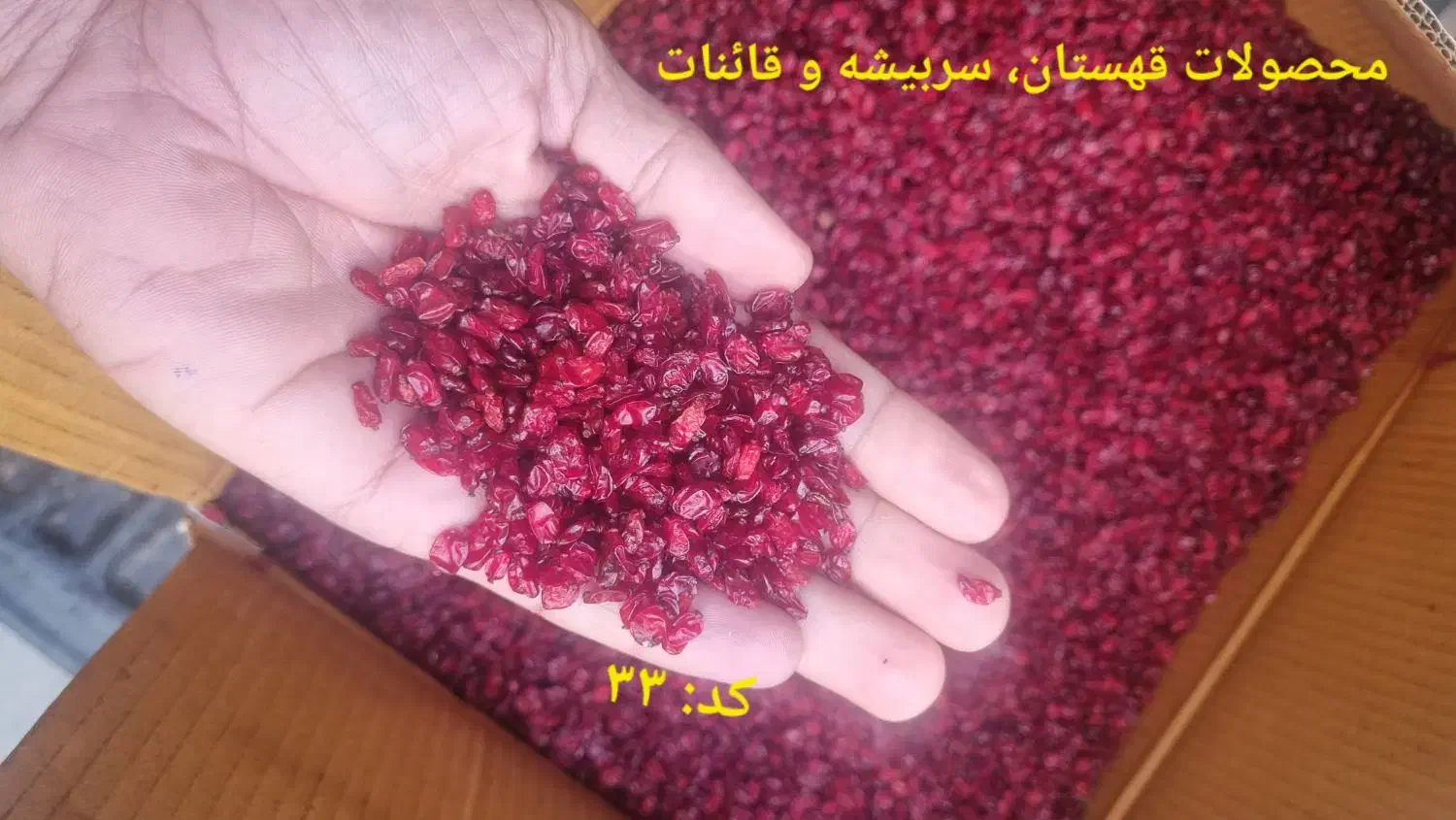 فروش زرشک دانه اناری، زیرتالاری و پفکی|عمدهفروشی|بیرجند, |دیوار