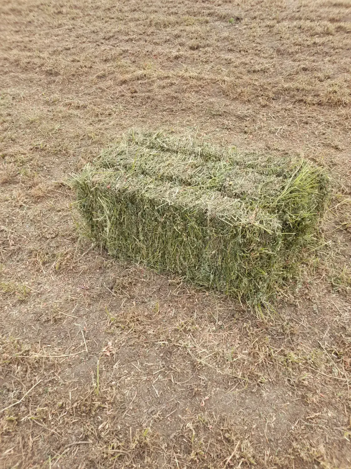 یونجه خشک بسته بندی|حیوانات مزرعه|بیله سوار, |دیوار