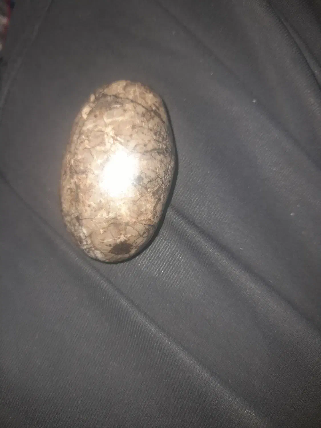 سنگ مرجان زیبا|کلکسیون اشیاء عتیقه|فولادشهر, B4|دیوار