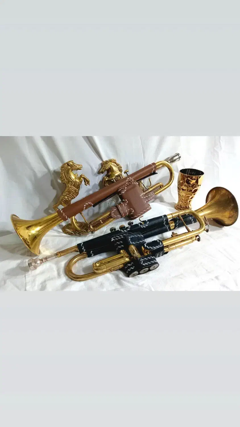 کاور ترومپت|سازهای بادی|نیشابور, رحمت آباد|دیوار