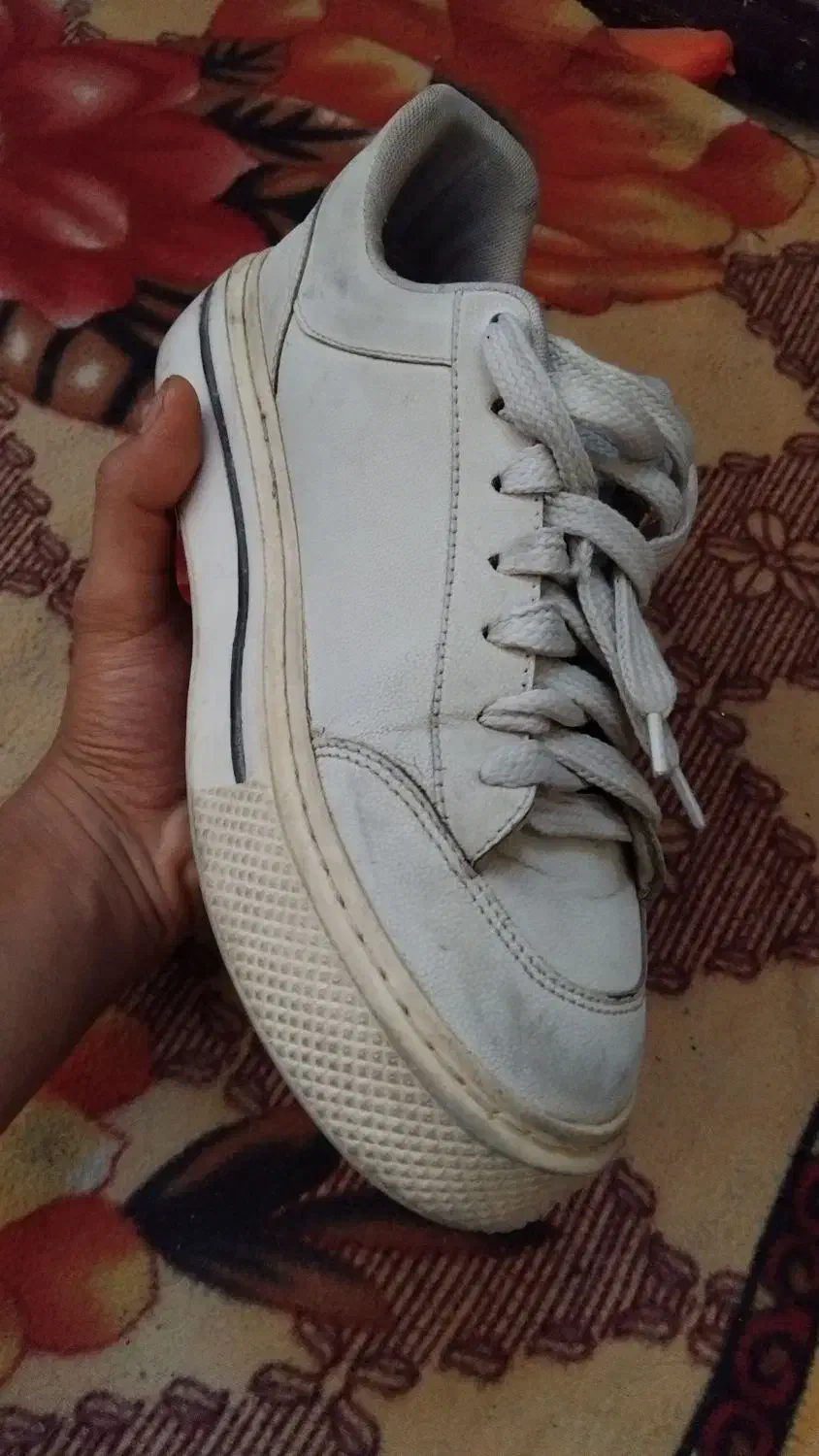 کفش|کیف، کفش، کمربند|سبزوار, شرق کال عیدگاه|دیوار