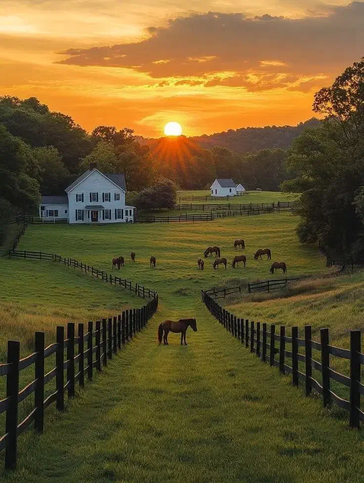 سوئیت ویلایی جاده نهار خوران . .روزانه .هفتگی .|اجارهٔ کوتاهمدت ویلا و باغ|گرگان, |دیوار