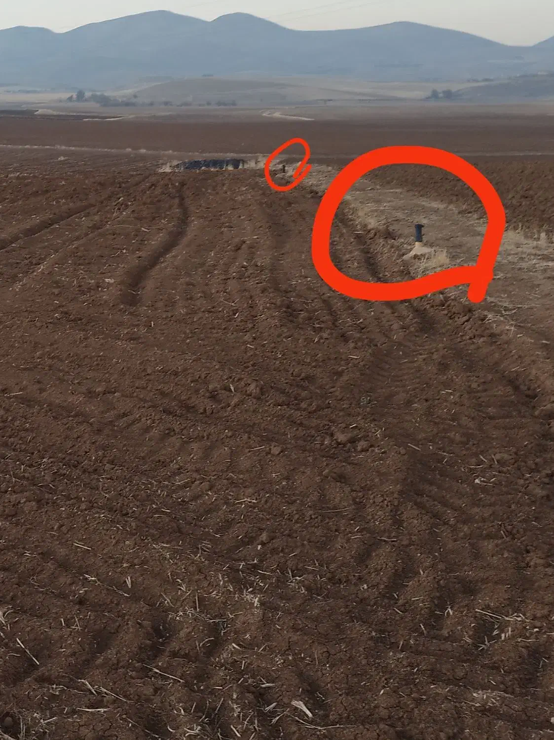 فروش زمینی زراعی آدینان|فروش زمین و ملک کلنگی|زیویه, |دیوار