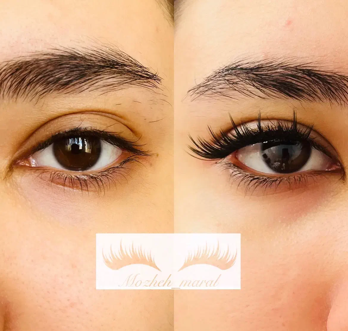 کاشت مژه هیدن|خدمات آرایشگری و زیبایی|شیراز, دارالرحمه|دیوار