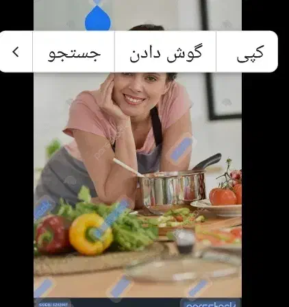 نیازمند اشپز خانم در منزل|استخدام خدمات فروشگاه و رستوران|شیراز, قدوسی شرقی|دیوار