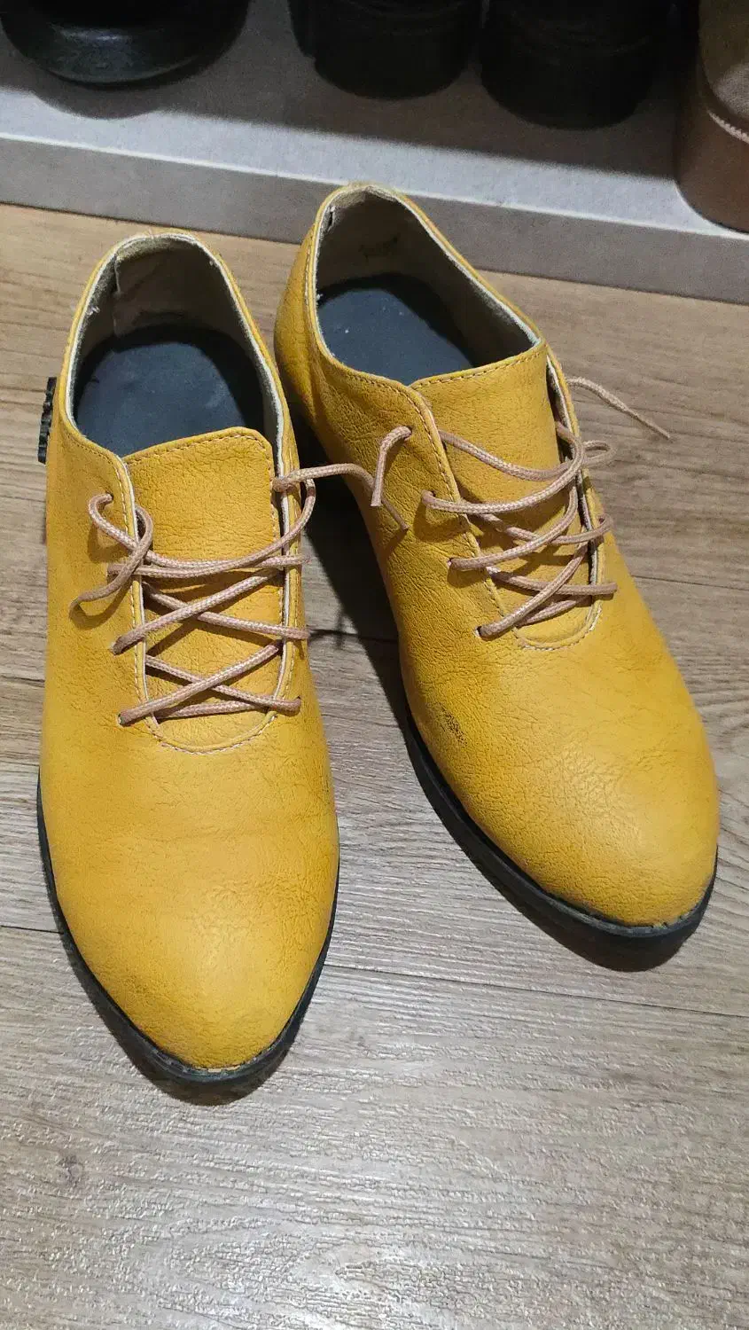 کفش چرم / چرمی|کیف، کفش، کمربند|گرگان, |دیوار