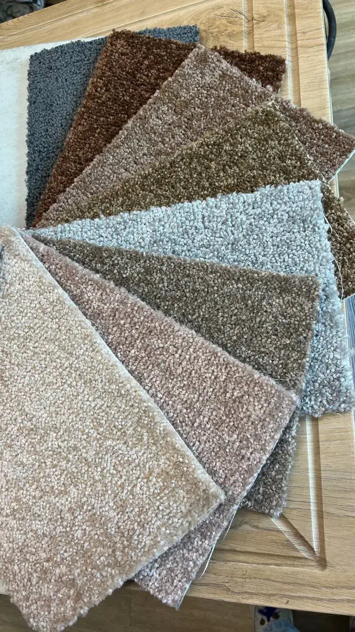 موکت پالاز،پُرزدار|موکت|رشت, انصاری|دیوار