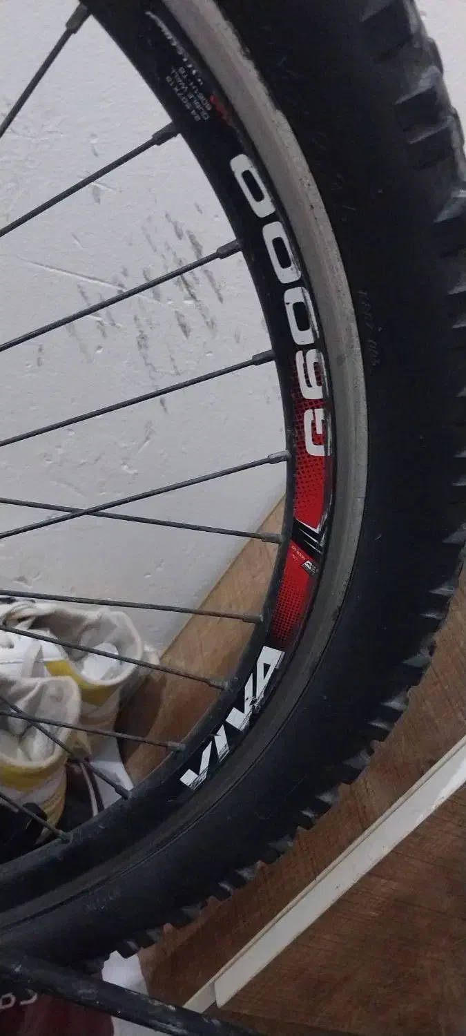 دوچرخه ویوا 24 اصلی  تخفیف هم داریم|دوچرخه، اسکیت، اسکوتر|اهواز, کوی علوی|دیوار