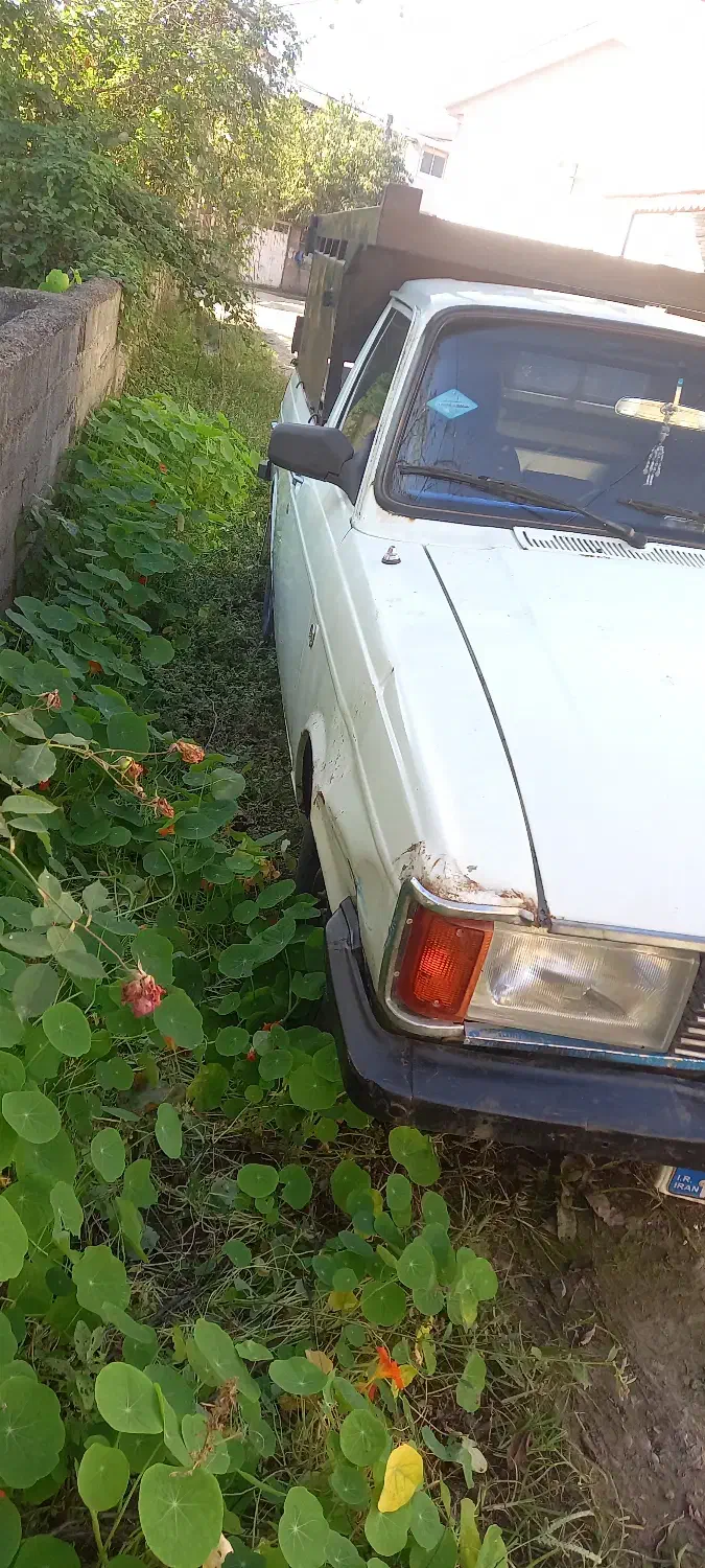 پیکان وانت|خودرو سواری و وانت|املش, |دیوار