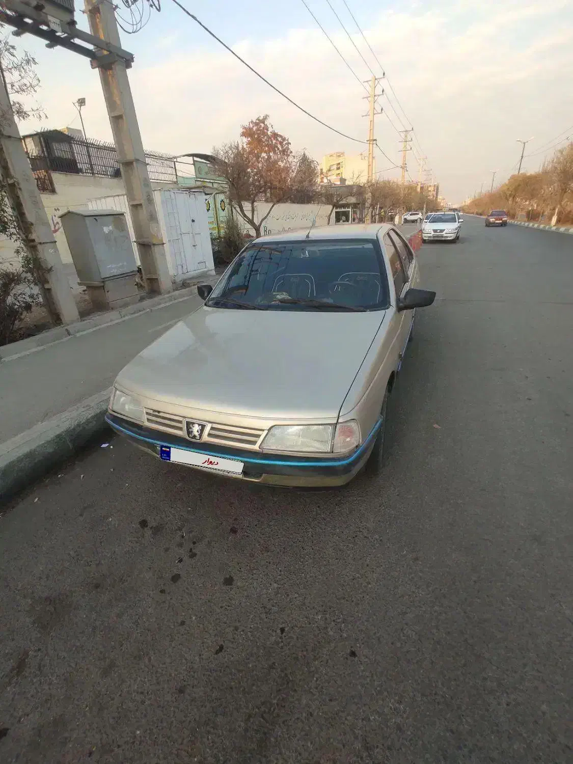 405مدل 83بژ|خودرو سواری و وانت|کرج, ساماندهی|دیوار