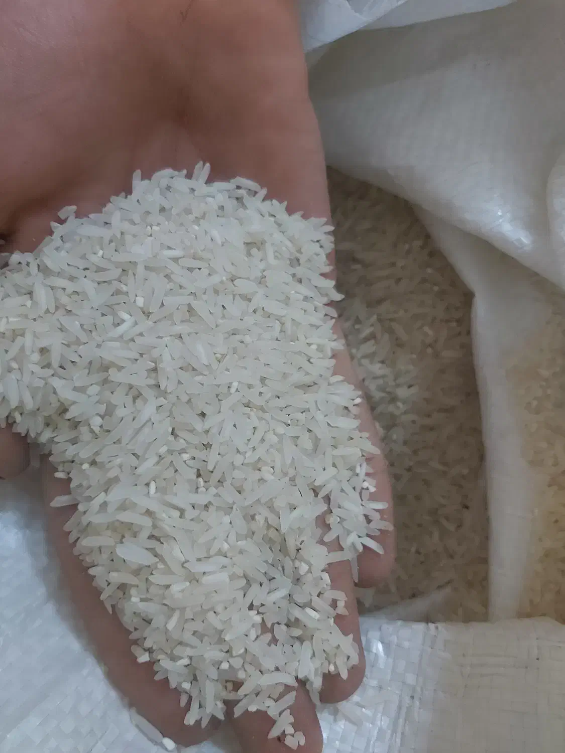 برنج لاشه فجرسوزنی|خوردنی و آشامیدنی|مشکیندشت, |دیوار