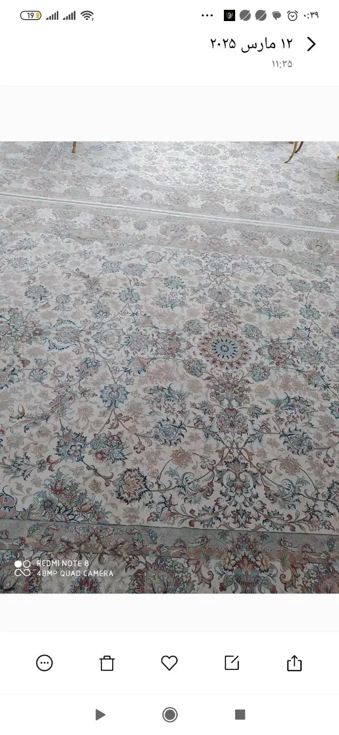 فرش افشان خطیبی|فرش|تربت‌حیدریه, قائم|دیوار