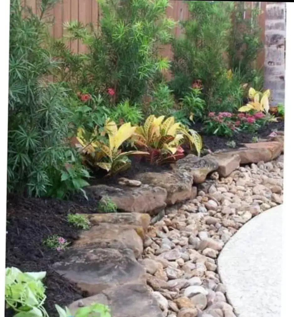 باغبانی|خدمات باغبانی و درختکاری|رشت, دخانیات|دیوار