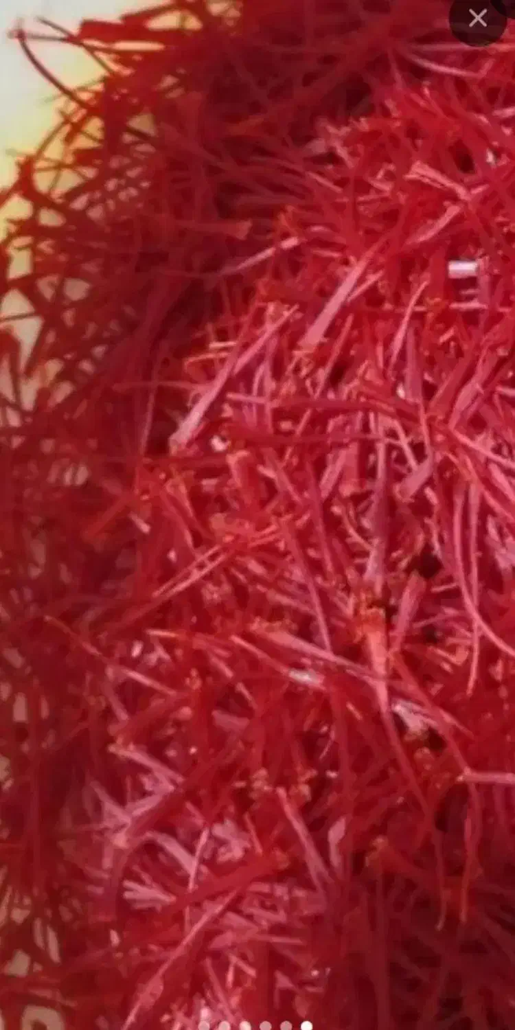 زعفران نگین|خوردنی و آشامیدنی|مشهد, کوی المهدی|دیوار