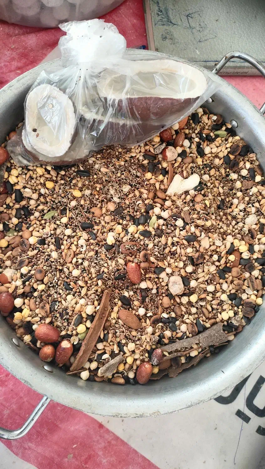 قوتو چهل گیاه خانگی|خوردنی و آشامیدنی|سیرجان, |دیوار