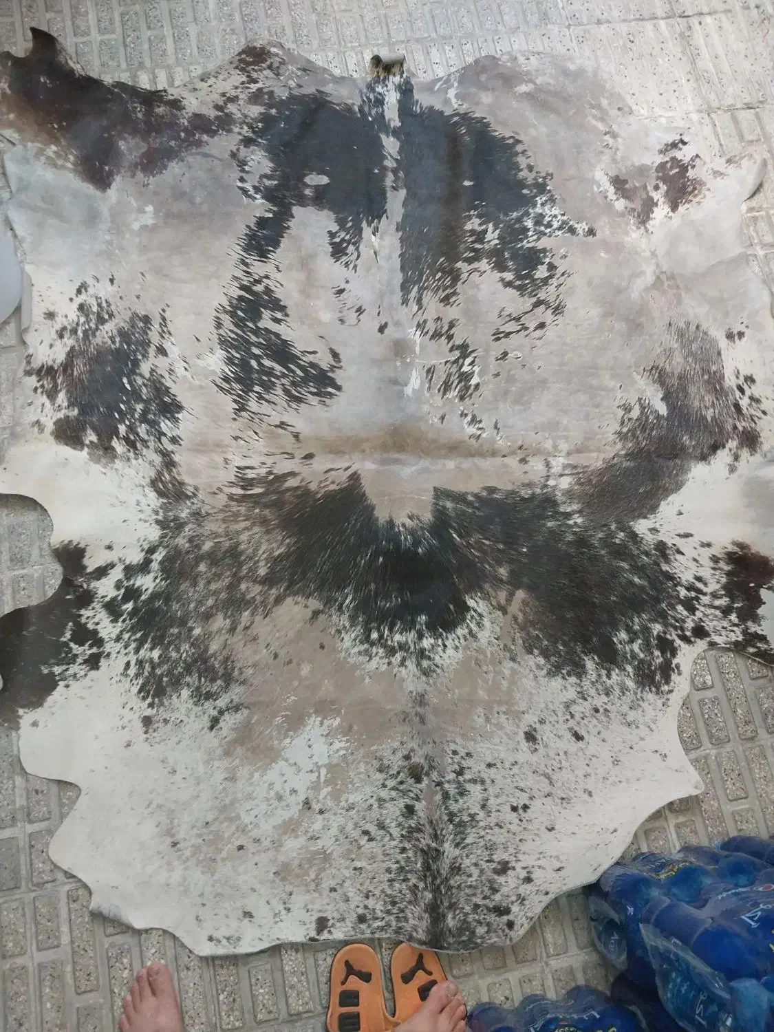 پوست گاو|روفرشی|تهران, نظامآباد|دیوار