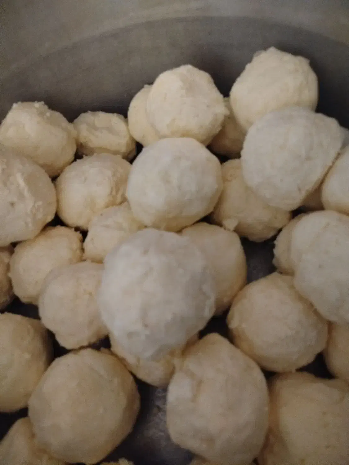 لبنیات|خوردنی و آشامیدنی|تربت جام, پاسداران|دیوار