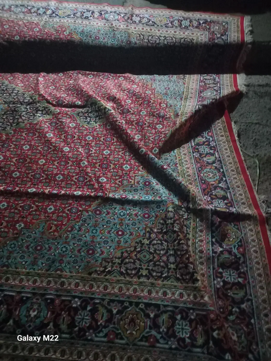 دو عدد فرش|فرش|خوی, |دیوار