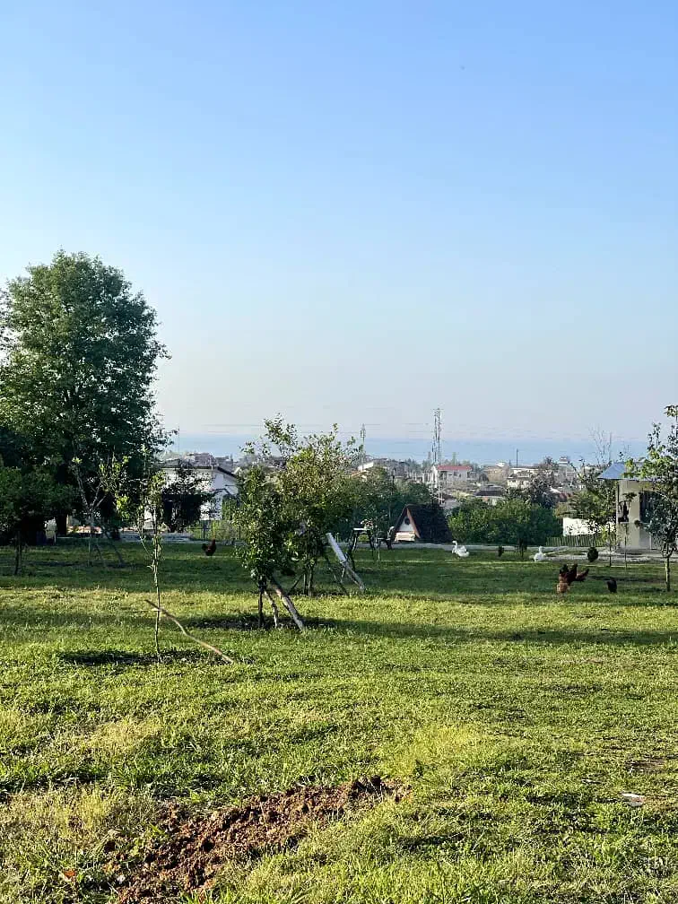 مشارکت ۳۰۰ متری دو نبش داخل امیرآباد|مشارکت در ساخت املاک|ایزدشهر, |دیوار