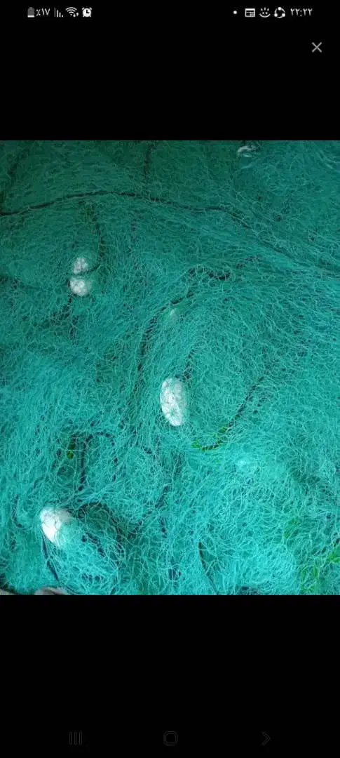 تور ماهیگیری شیری|ماهیگیری|بردخون, |دیوار