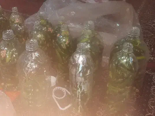 خیارشور|خوردنی و آشامیدنی|تهران, مختاری|دیوار