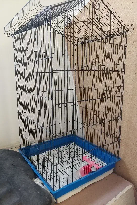 قفس پرنده|لوازم جانبی حیوانات|خمینی‌شهر, |دیوار
