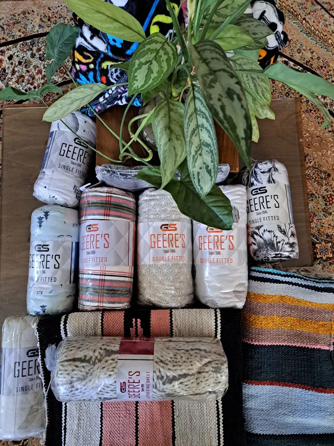 روتشکی پاکستانی|رختخواب، بالش، پتو|محمدشهر, شهرک پیام (مهرالبرز)|دیوار